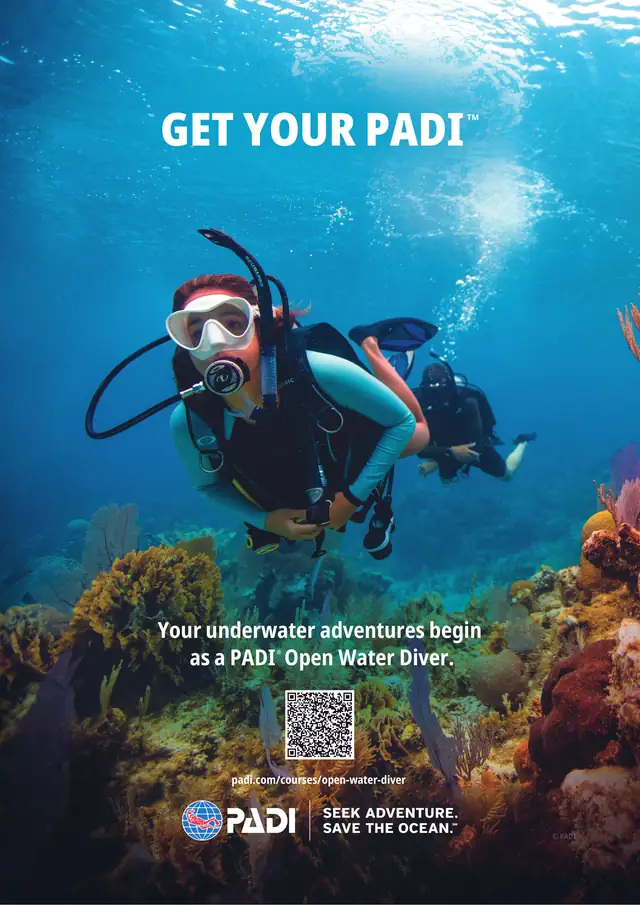 PADI Open Water Diver - Tauchen lernen bei Dive King