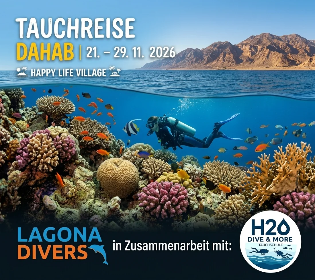 Tauchreise Dahab 21. – 29.11.2026 – Happy Life Village mit Lagona Divers in Zusammenarbeit mit H2O Dive & More