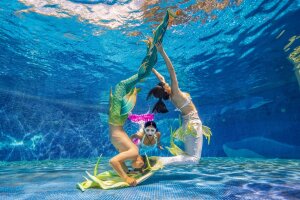 Mermaid