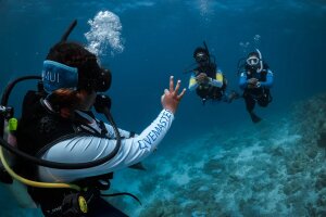Padi PRO