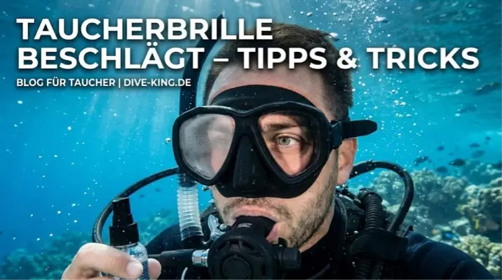 Taucherbrille beschlägt: Was wirklich gegen beschlagene Tauchmasken hilft - Taucherbrille beschlägt? Die besten Mittel gegen Beschlag