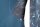 Atoll Damen Neoprenjacke mit Reißverschluss Seaweed