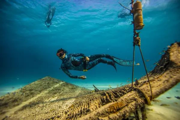 PDF Instructor Guide - Freediver