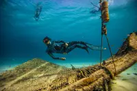 PDF Instructor Guide - Freediver