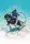 eLearning - PADI Seal Team