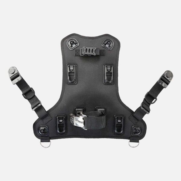 Rogue Back Assembly