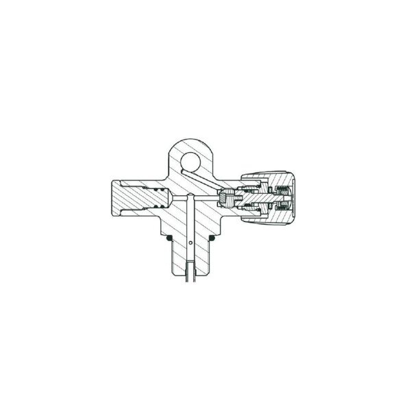 Polaris Viton Wartungssatz für Brückenventil