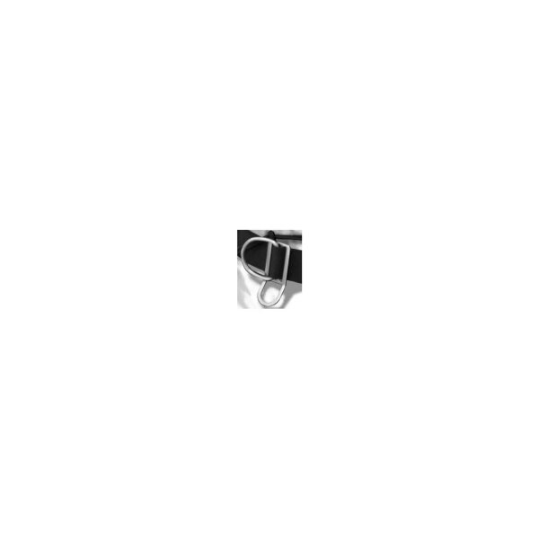 Polaris Triple Glide D-Ring