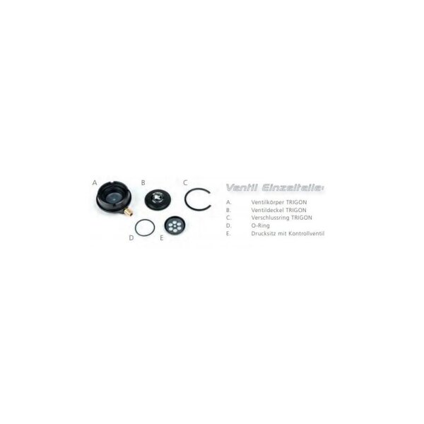O-Ring Trigon P-Valve