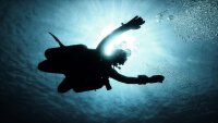 Proline Sidemount Rigging Kit