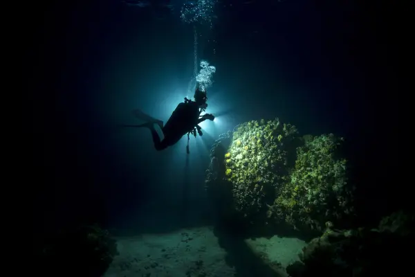 eLearning - Night Diver