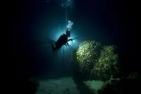 eLearning - Night Diver