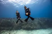 eLearning - Peak Performance Buoyancy