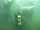 eLearning - Public Safety Diver