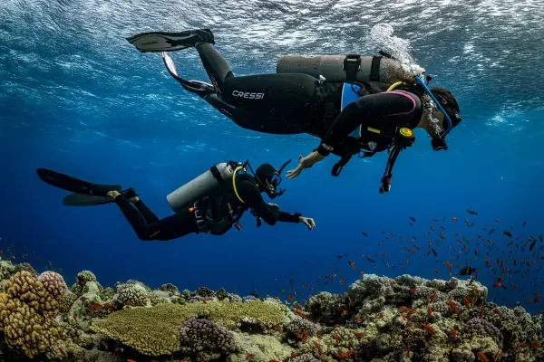 eLearning - Underwater Navigator