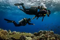 eLearning - Underwater Navigator