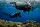 eLearning - Underwater Navigator