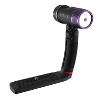 Sea Dragon Fluoro-Dual Beam
