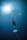 eLearning - Freediver