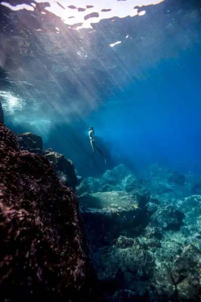 eLearning - Advanced Freediver
