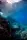 eLearning - Advanced Freediver