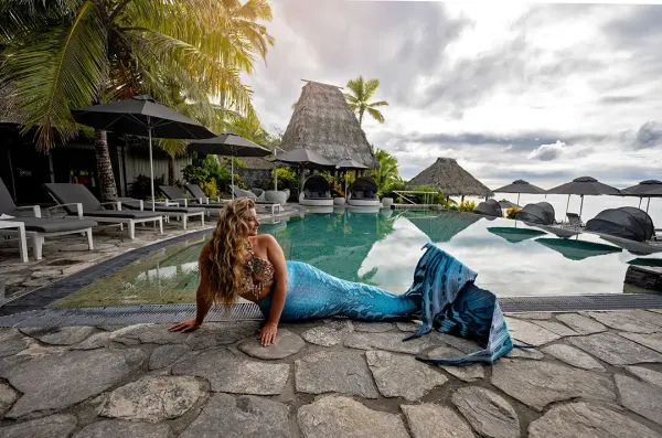 eLearning - Discover Mermaid