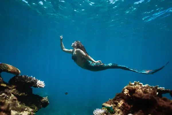 eLearning - Basic Mermaid