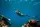 eLearning - Basic Mermaid