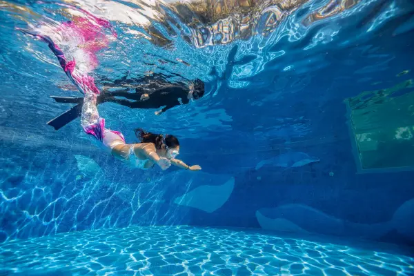 eLearning - Mermaid Basic Upgrade