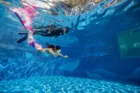 eLearning - Mermaid Basic Upgrade