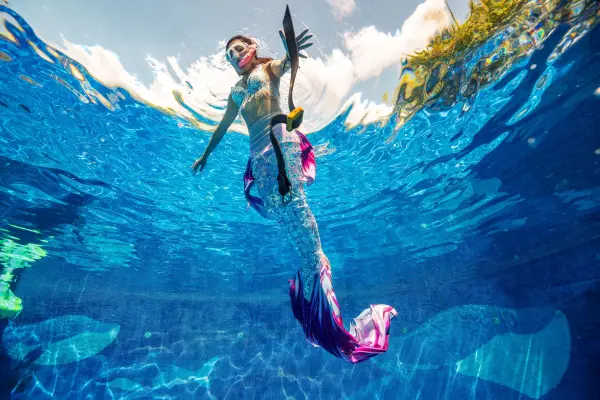eLearning - Mermaid
