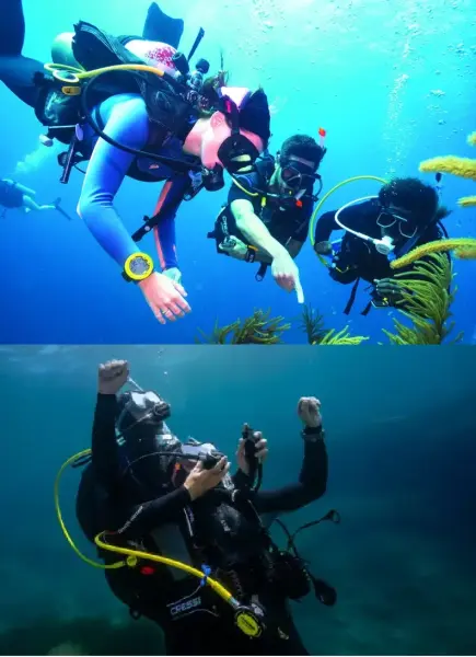 eLearning Bundle - Advanced Open Water Diver and Rescue Diver