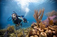 eLearning - Open Water Diver - no video