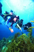 eLearning - Advanced Open Water Diver - no video
