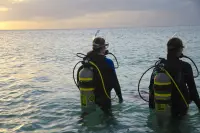 eLearning - Enriched Air Diver Nitrox - no video