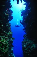 eLearning - Deep Diver - no video