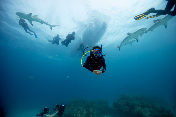 eLearning - PADI AWARE Specialist - No Video