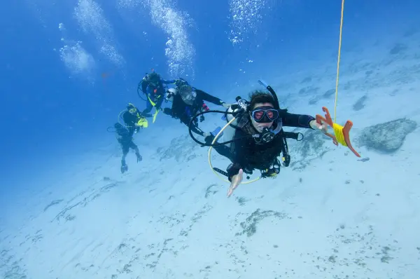 eLearning - Drift Diver - no video
