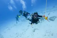 eLearning - Drift Diver - no video