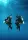 eLearning - Peak Performance Buoyancy - no video