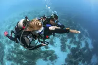 eLearning - Underwater Navigator - no video