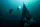Digital - Deep Diver Video - Student Edition