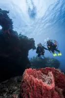 Digital - Drift Diver Video - Student Edition
