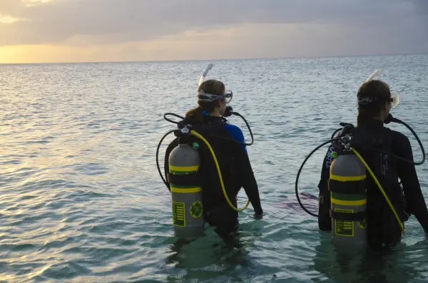 Digital - Enriched Air Diver Nitrox Video - Student Edition