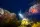 Digital - Night Diver Video - Student Edition