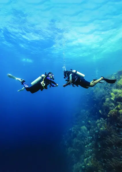 Digital - Peak Performance Buoyancy Video - Student Edition