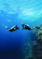 Digital - Peak Performance Buoyancy Video - Student Edition