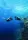 Digital - Peak Performance Buoyancy Video - Student Edition